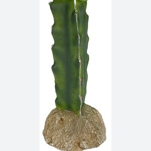 💖3/$15💖 Desert Oasis Reptile Cactus Ornament